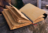 New- Double Dragon Leather Journal | 5 Stone Choices